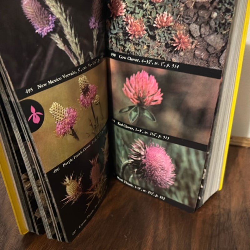National Audubon Society Field Guide to Wildflowers