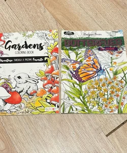 Set of two coloring books