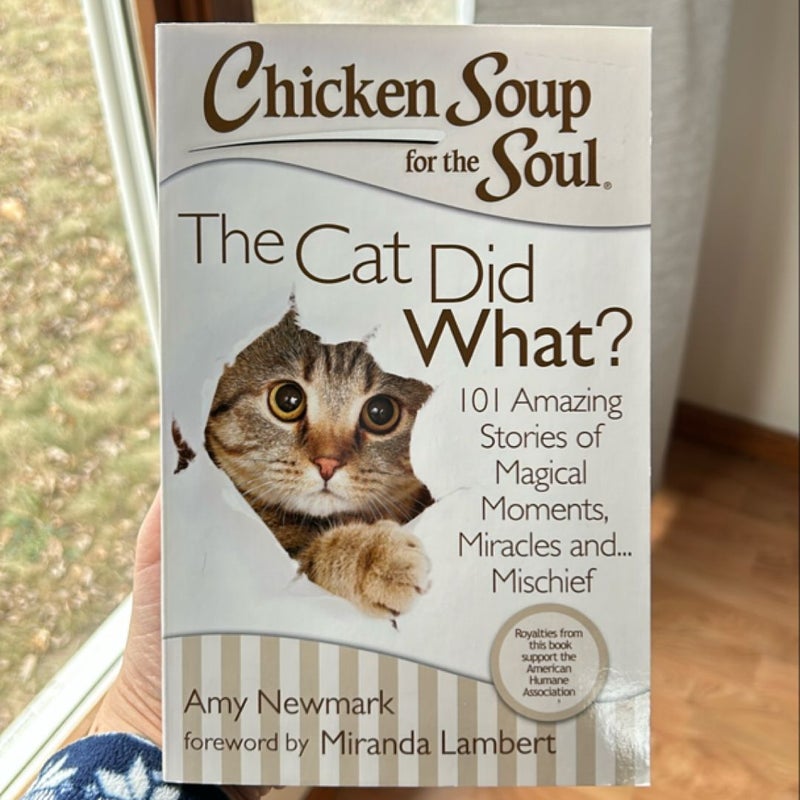 Chicken Soup for the Soul: the Cat Did What?