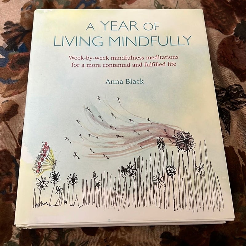 A Year Of Living Mindfully