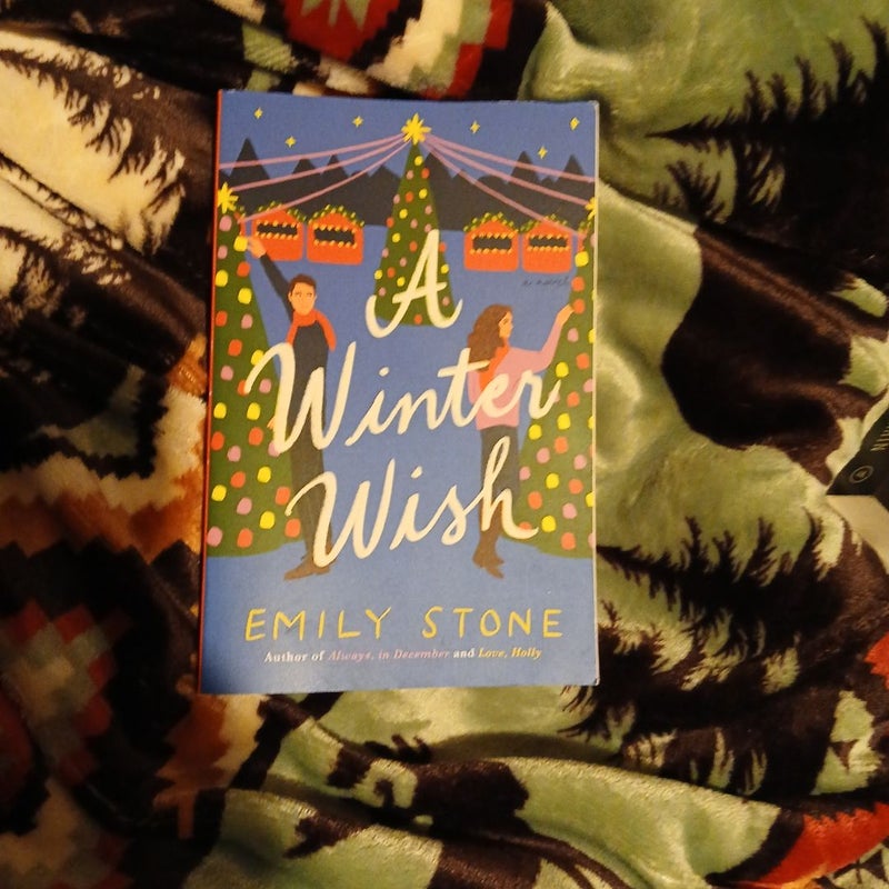 A Winter Wish