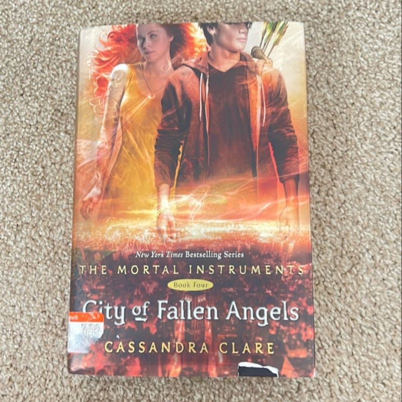 City of Fallen Angels