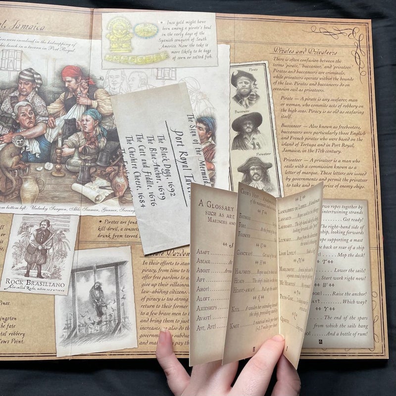 Pirateology