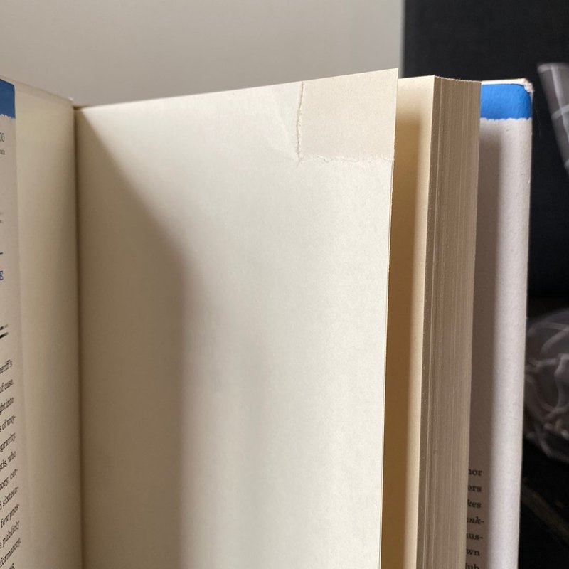 Miss Kopp's Midnight Confessions