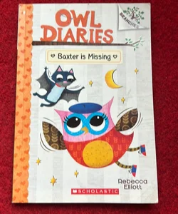 Baxter Is Missing - A Branches Book