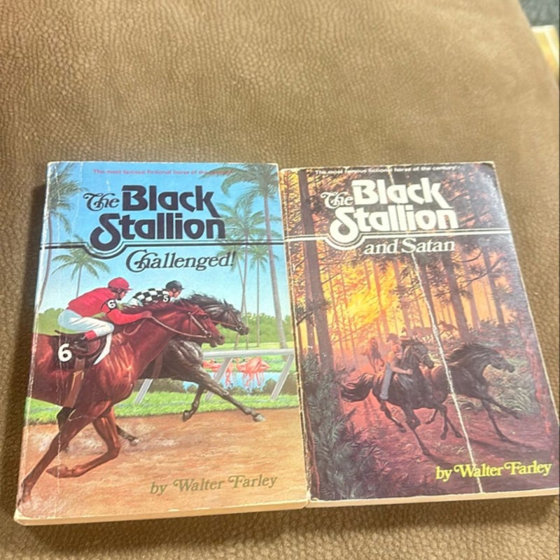 The Black Stallion Series by Walter Farley - Pick Your Own! - Vintage 1970s and 1980s Paperback Editions 