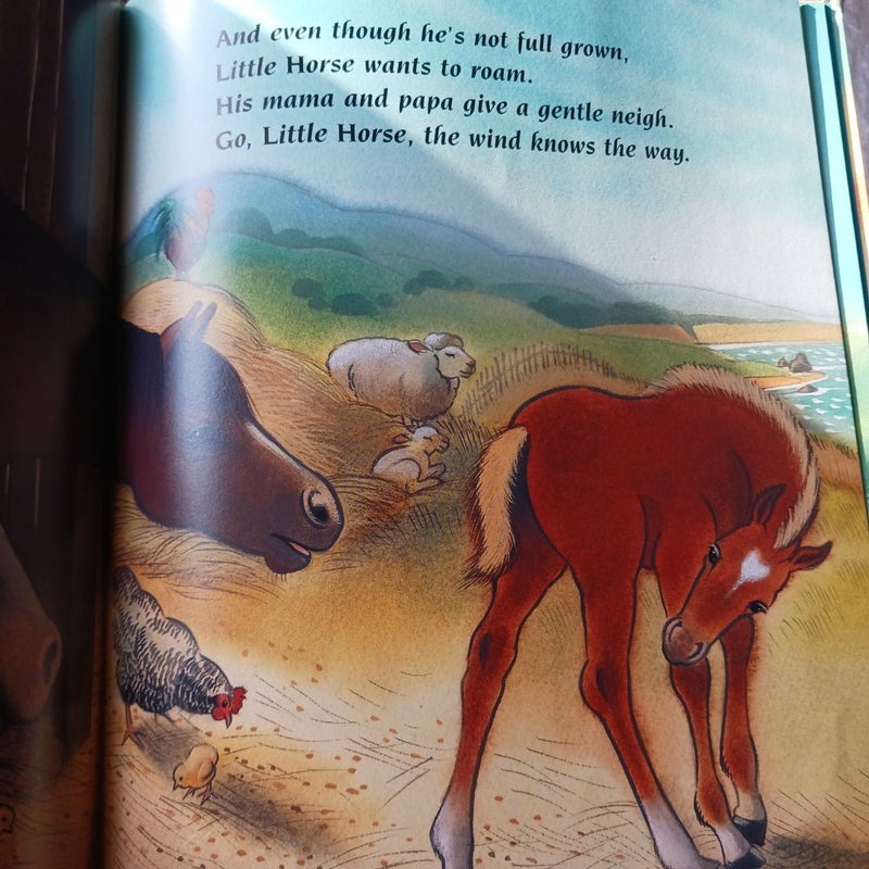 The Wild Little Horse