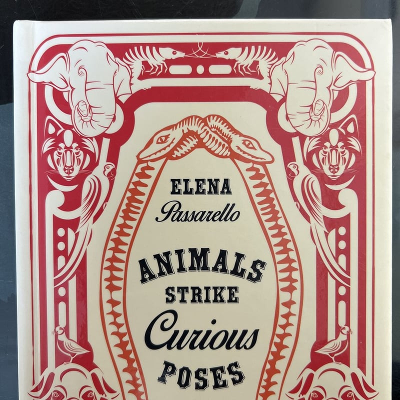 Animals Strike Curious Poses By Elena Passarello Hardcover Pango Books