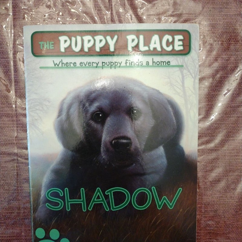Shadow