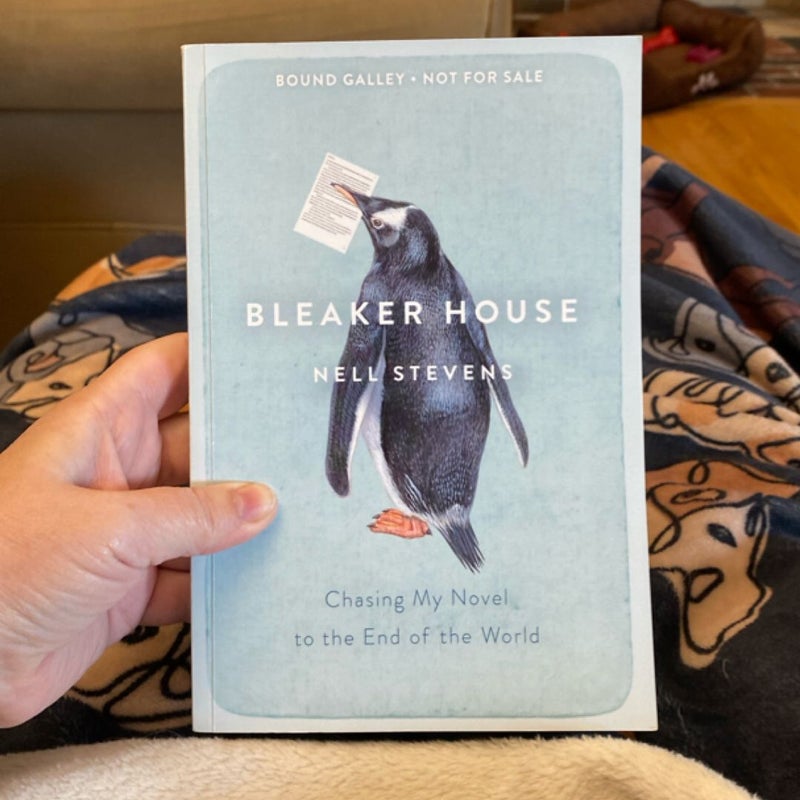 Bleaker House