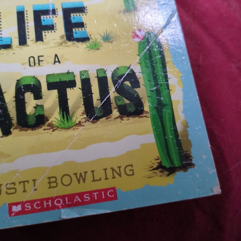 Insignificant Events in the Life of a Cactus