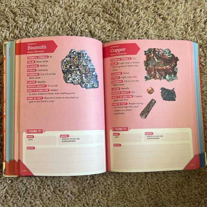 Outdoor School: Rock, Fossil, and Shell Hunting