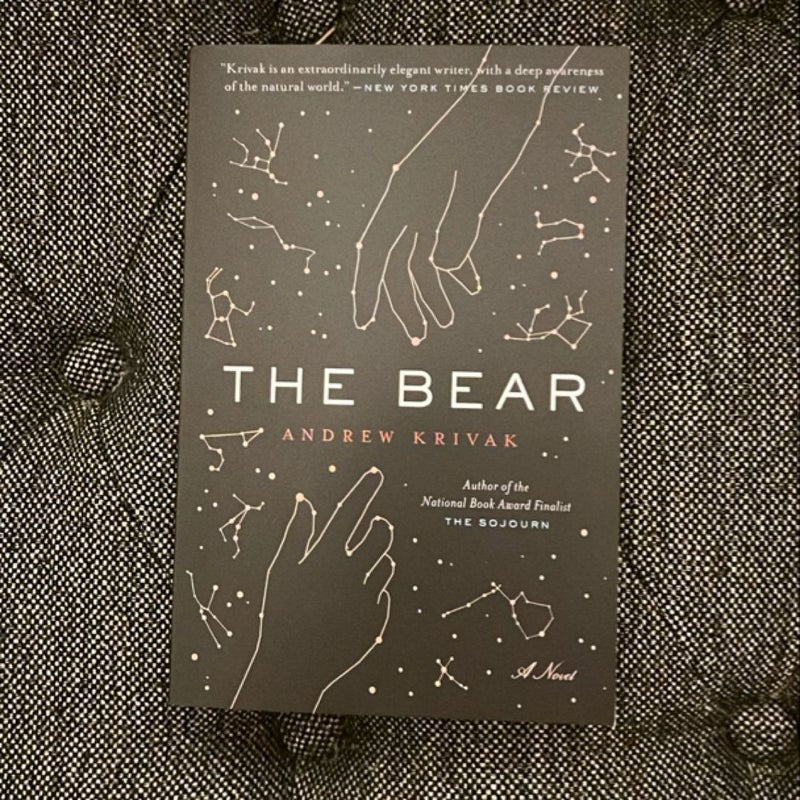 The Bear