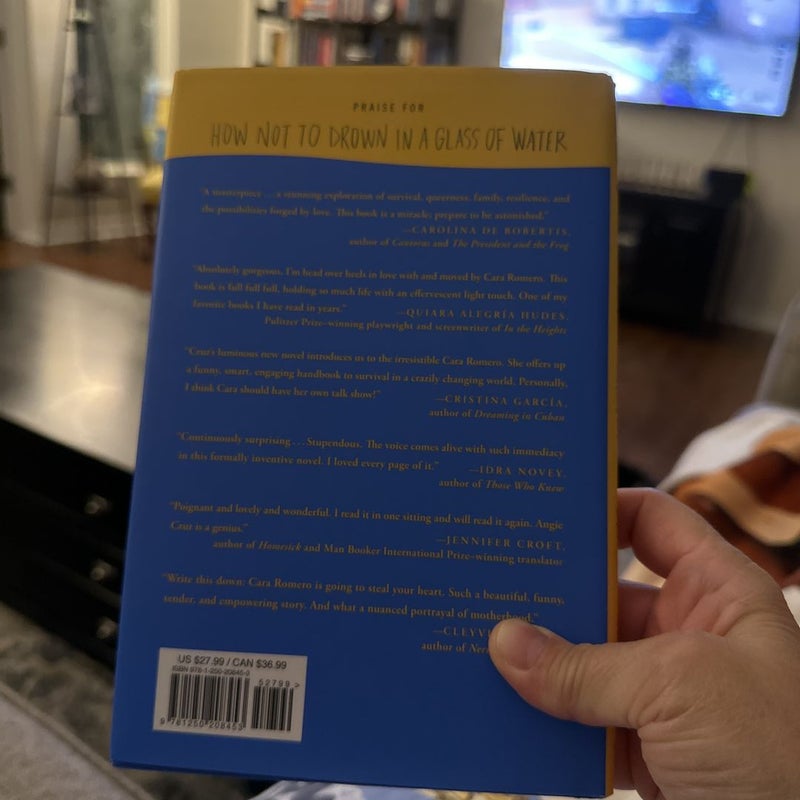 How not to drown in a glass of water by angie cruz hardcover pangobooks