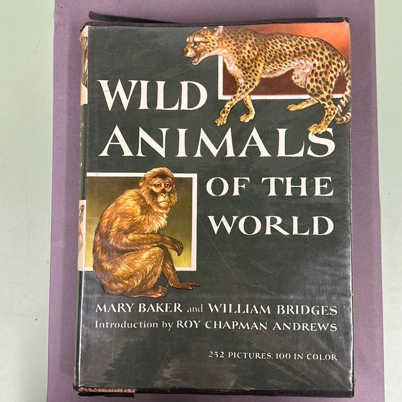 Wild Animals of the World 