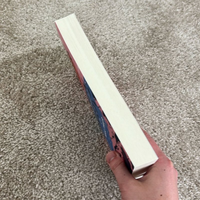 The Summer of Broken Rules