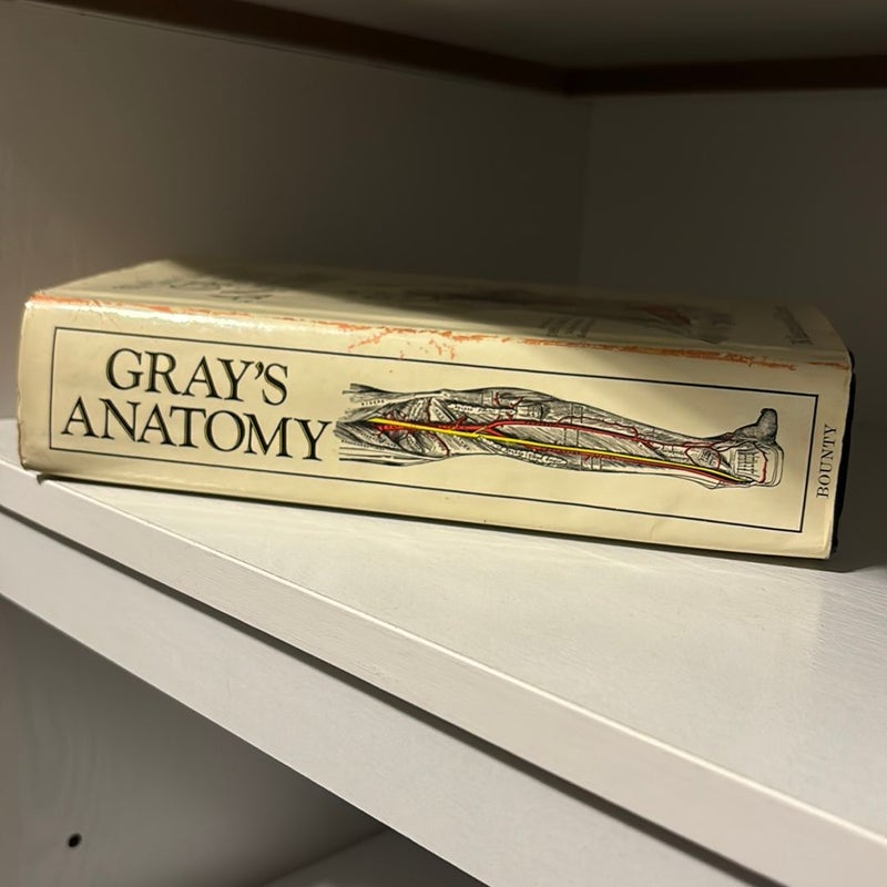 Gray's Anatomy