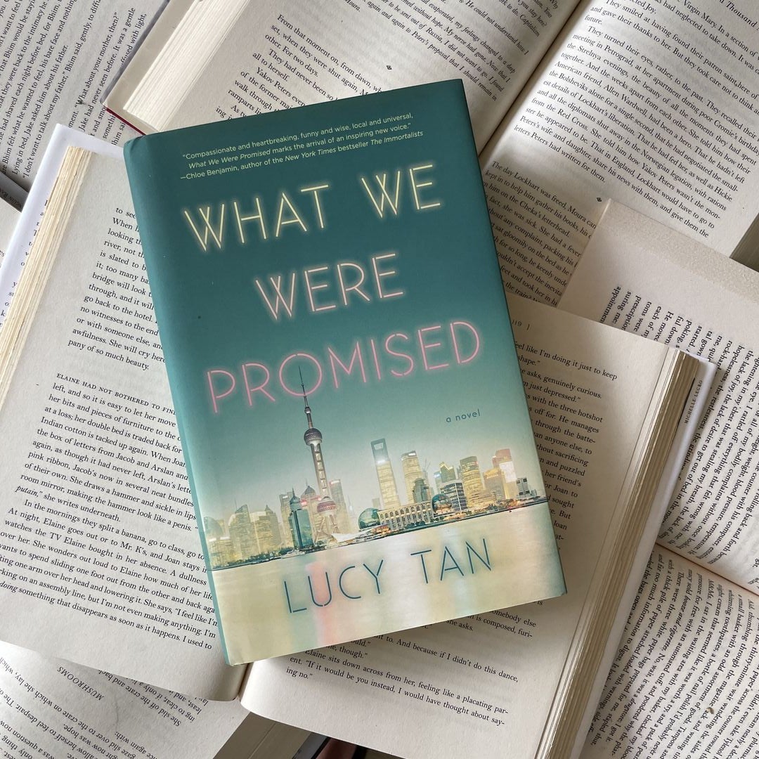 What We Were Promised by Lucy Tan