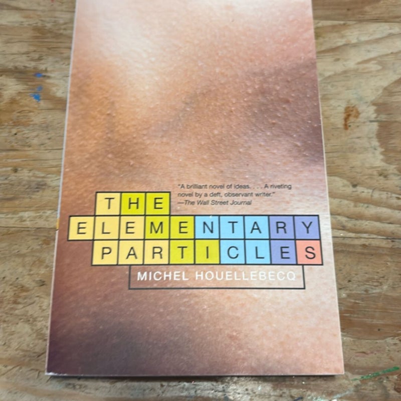 The Elementary Particles