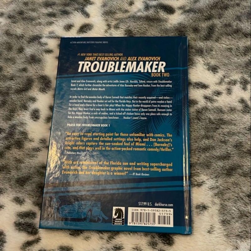Troublemaker