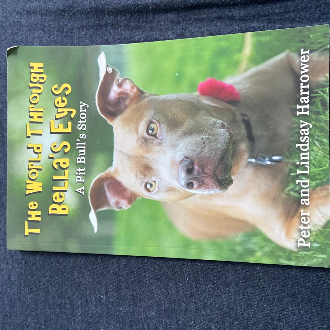 The World Through Bella's Eyes