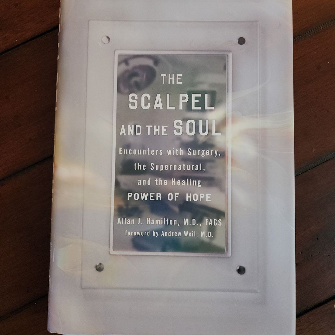 The Scalpel and the Soul by Allan J. Hamilton, Hardcover Pangobooks