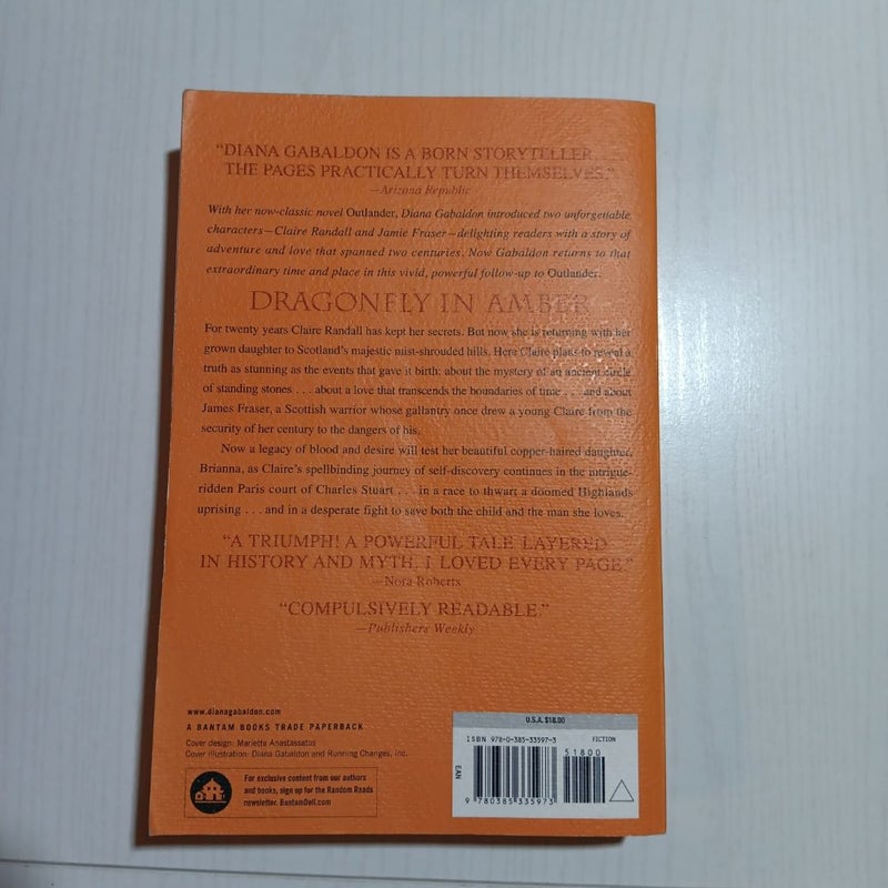 Dragonfly in Amber