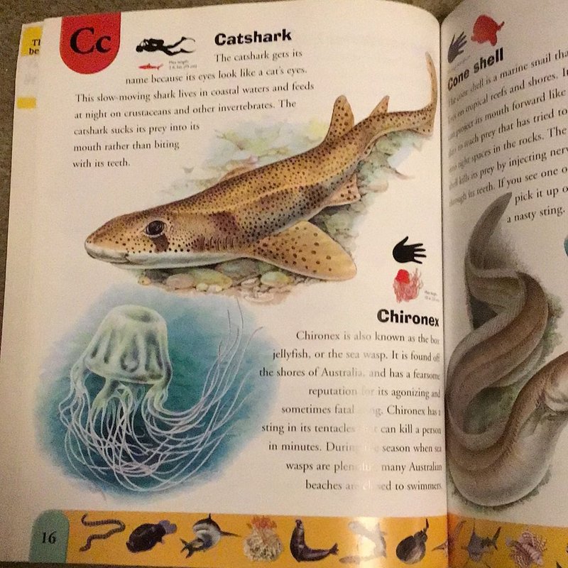 Shark and Other Sea Creatures Dictionary by Clint Twist, Ruth Hooper