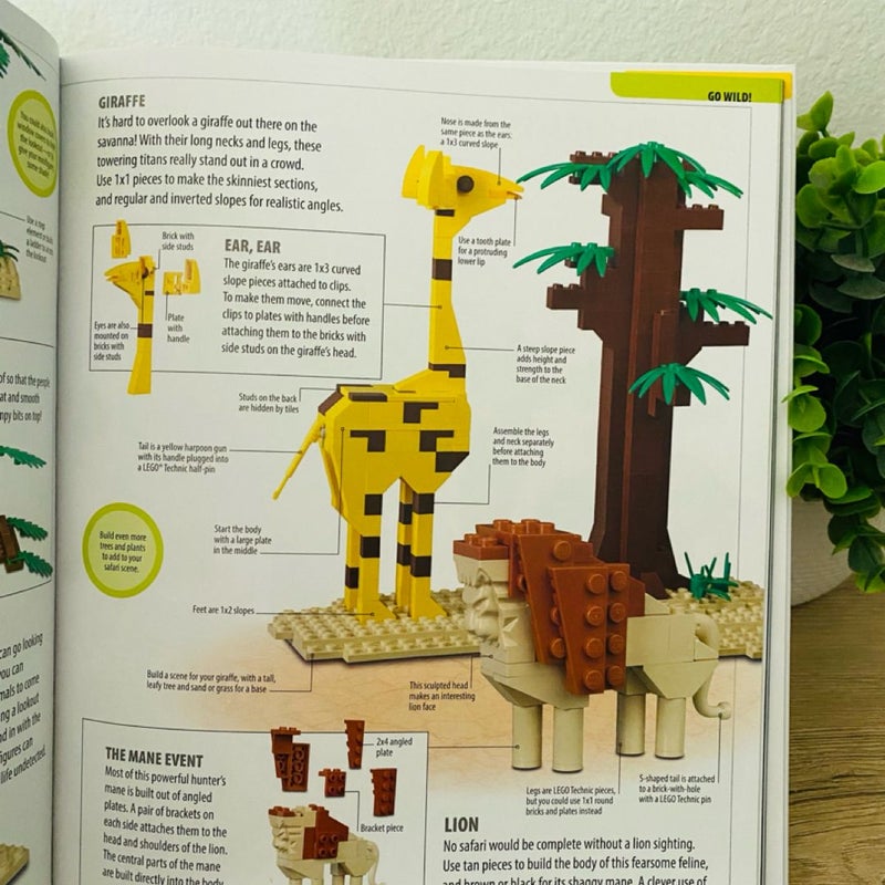 LEGO Play Book