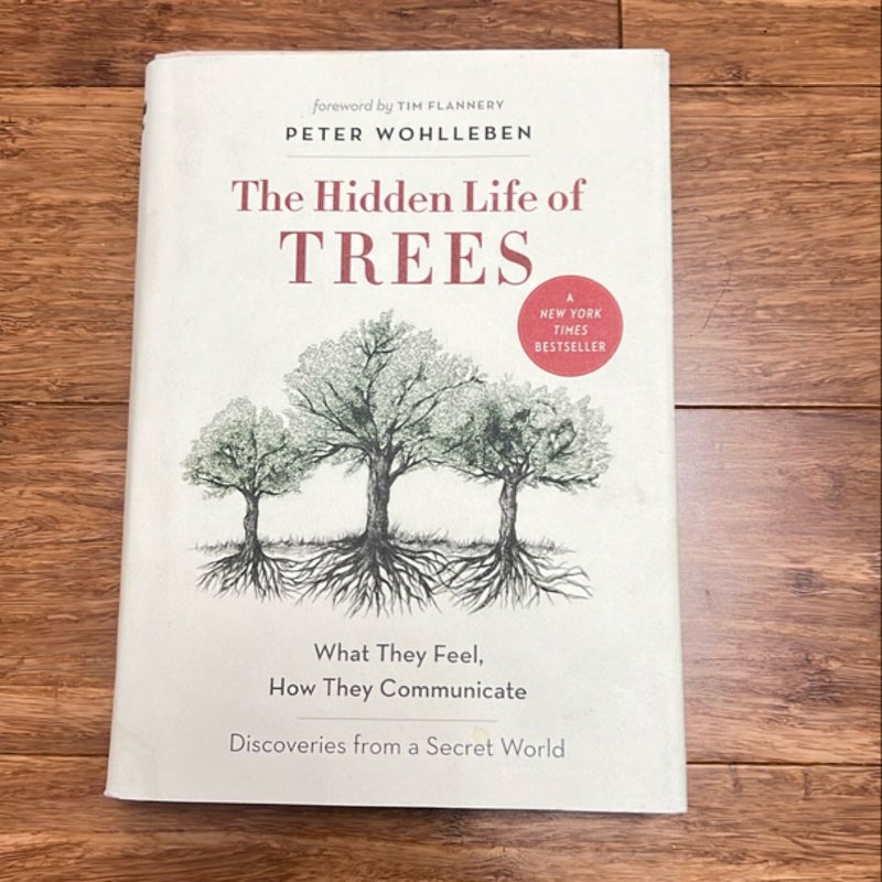 The Hidden Life of Trees