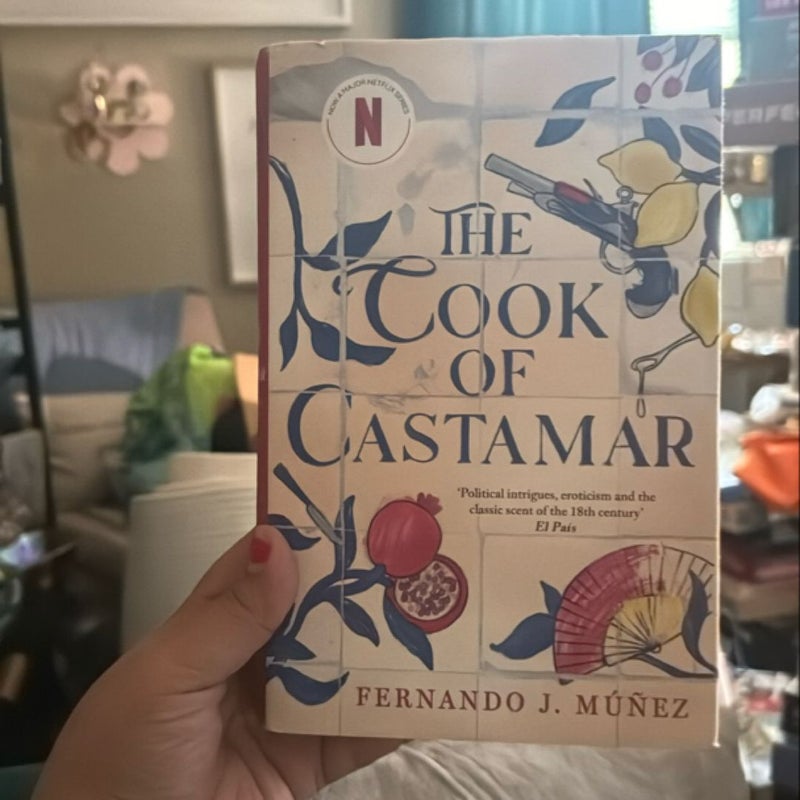 The Cook of Castamar