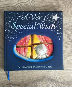 A Very Special Wish