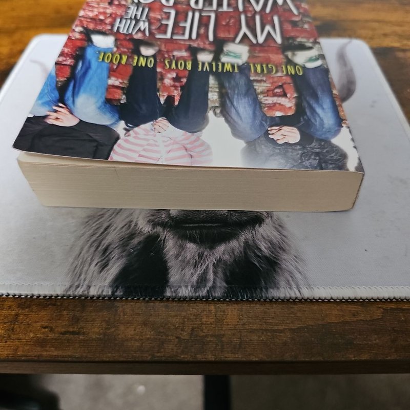 My Life with the Walter Boys