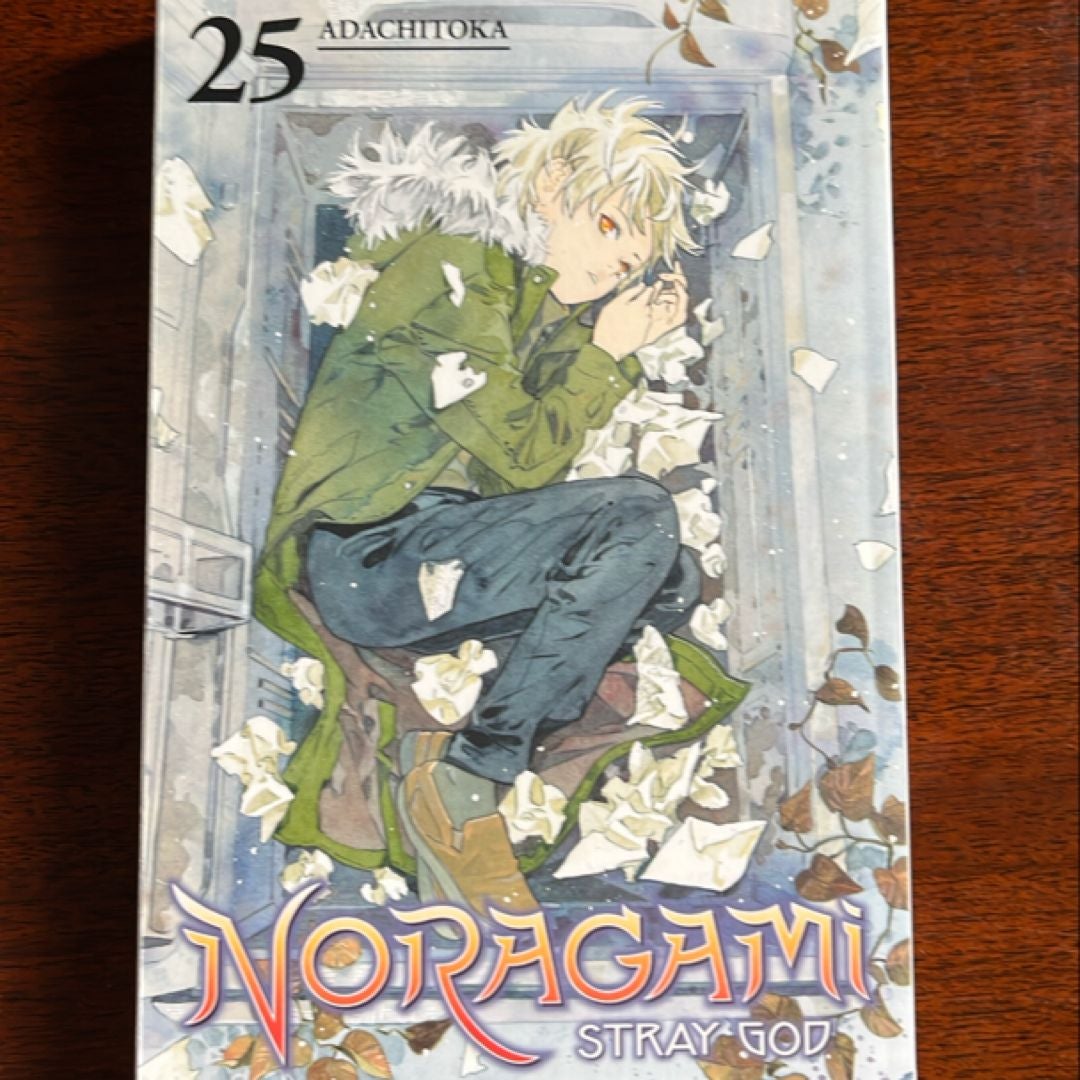 Noragami: Stray God 25