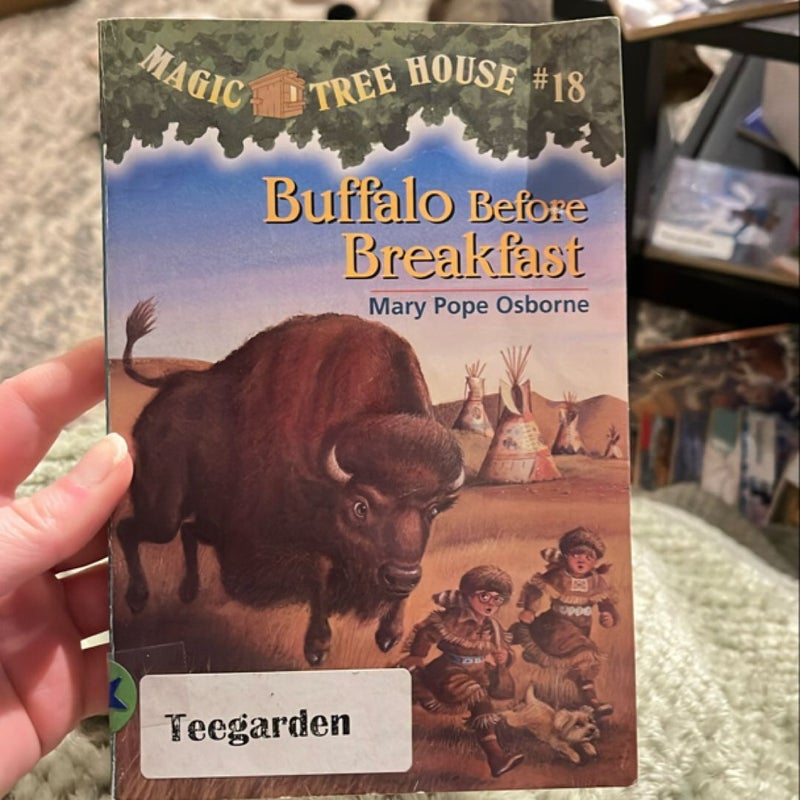 Buffalo Before Breakfast