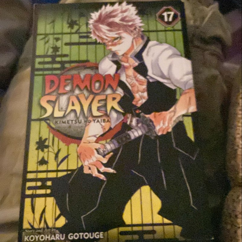 Demon Slayer: Kimetsu No Yaiba, Vol. 17