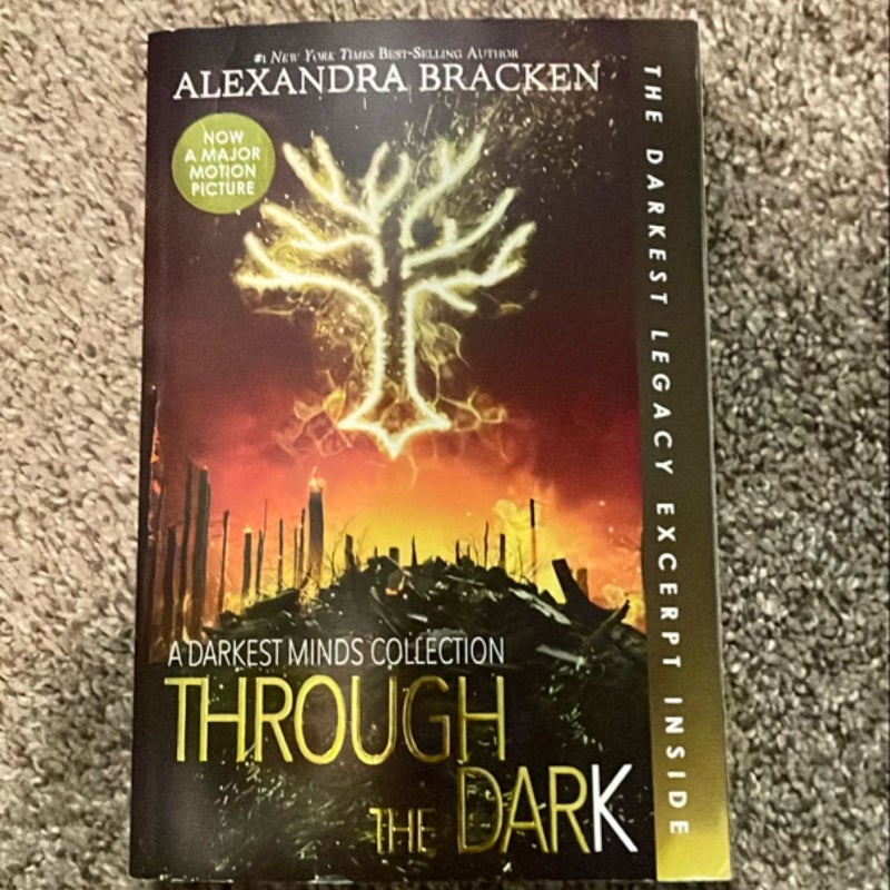 The Darkest Minds Series 