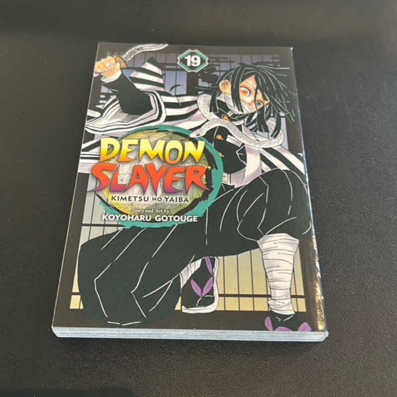 Demon Slayer: Kimetsu No Yaiba, Vol. 19