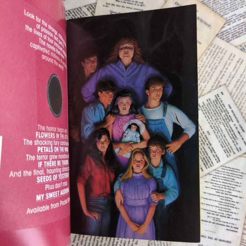 Heaven (Casteel Family #1, Stepback Cover)