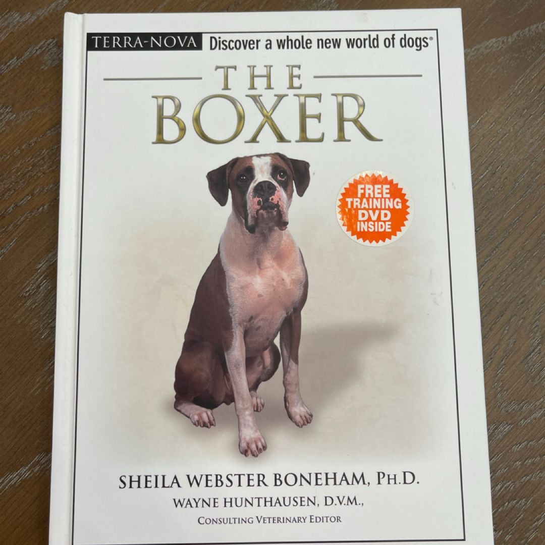 The Boxer
