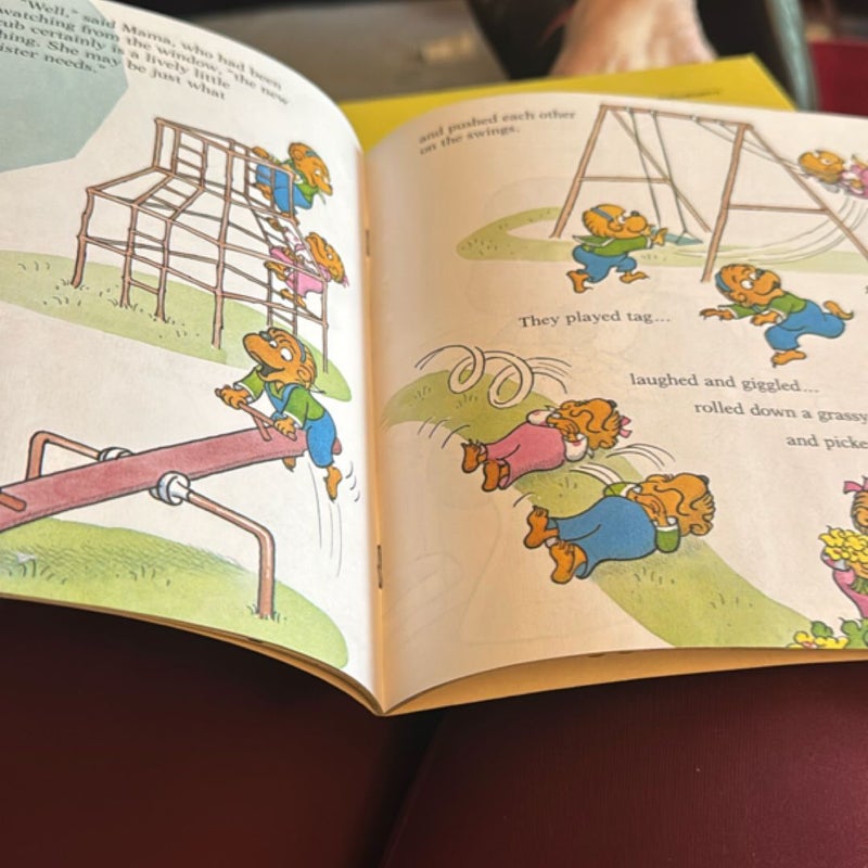 The Berenstain Bears and the Trouble with Friends
