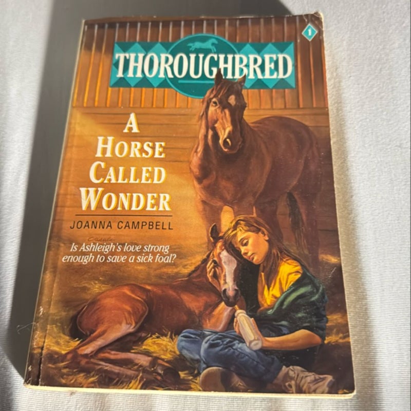 A Horse Called Wonder