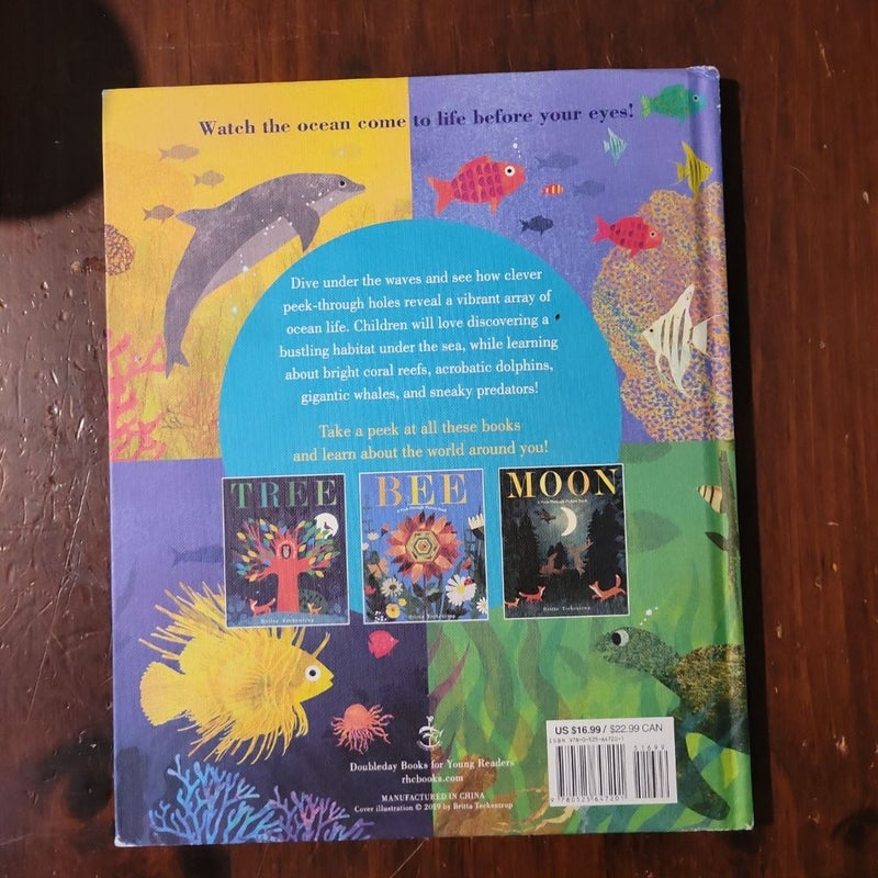 Ocean: a Peek-Through Picture Book