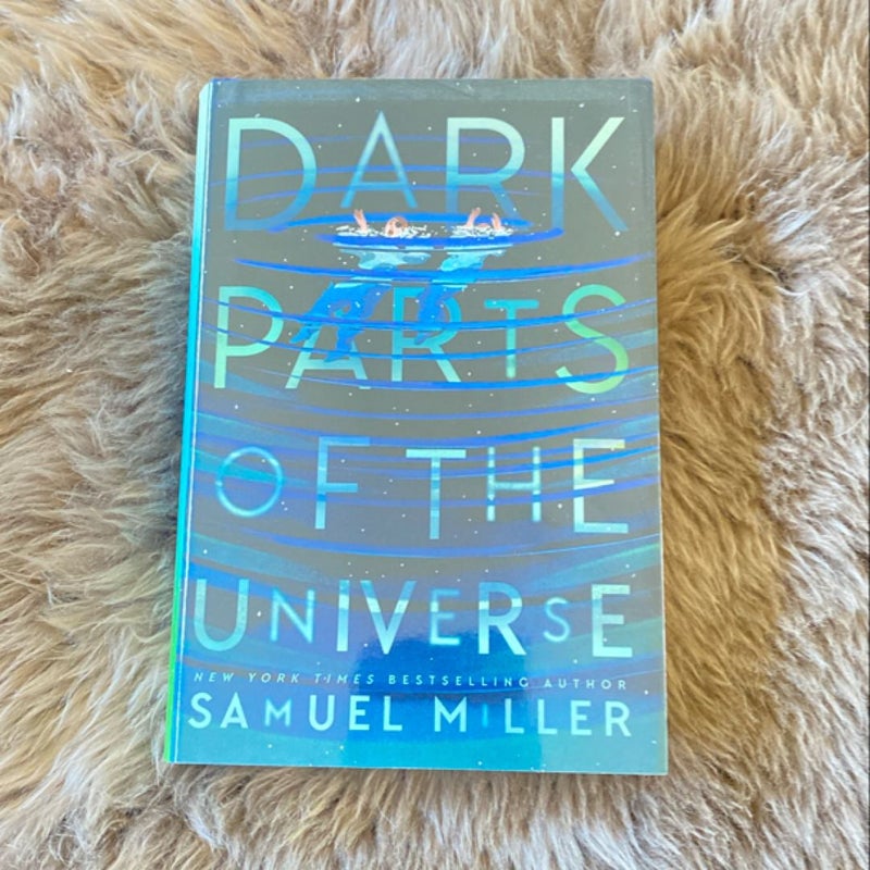 Dark Parts of the Universe