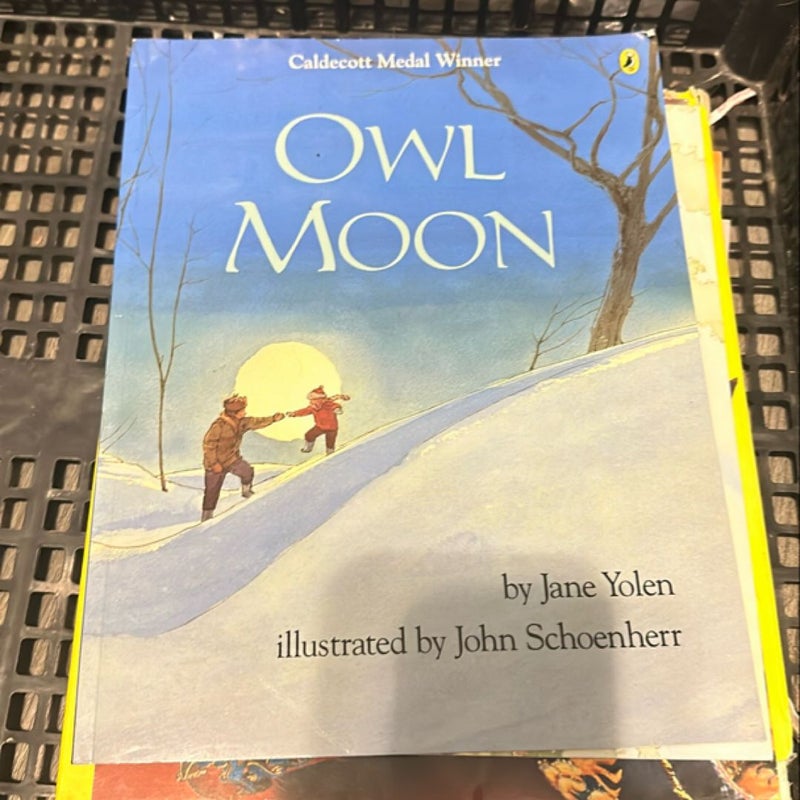 Owl moon