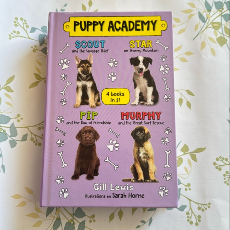 Puppy Academy Bindup Books 1-4: Scout and the Sausage Thief, Star on Stormy Mountain, Pip and the Paw of Friendship, Murphy and the Great Surf Rescue