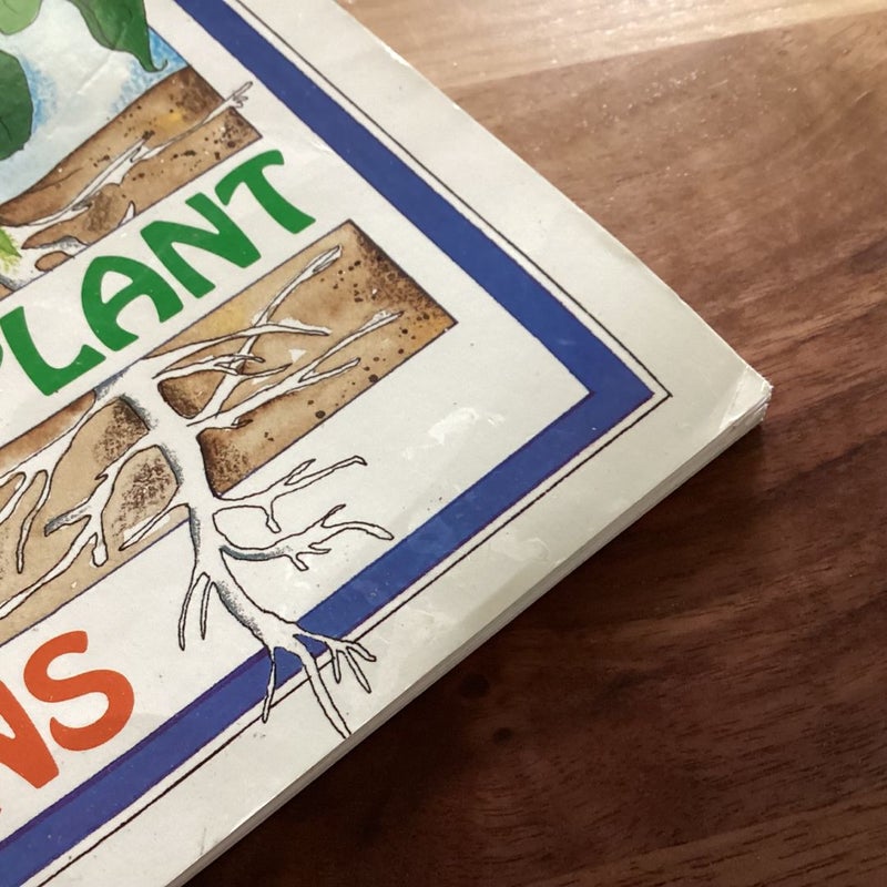 From Seed to Plant