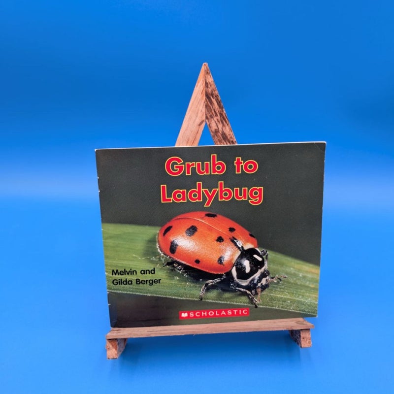 Grub to Ladybug