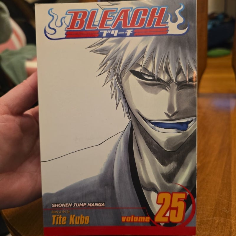 Bleach, Vol. 25