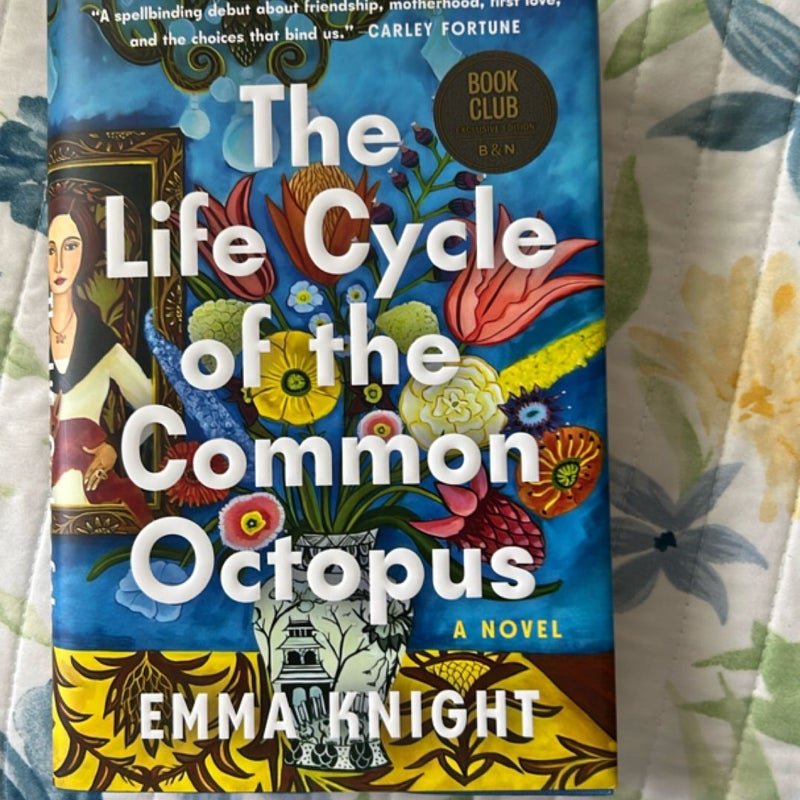 Life cycle of the common octu